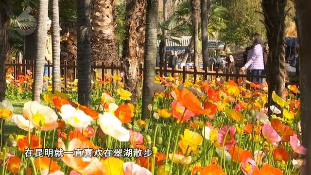 乐鱼体育官网-主场称雄?客场破局?期待!