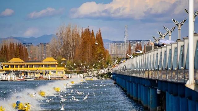 乐鱼体育官网-主场称雄?客场破局?期待!