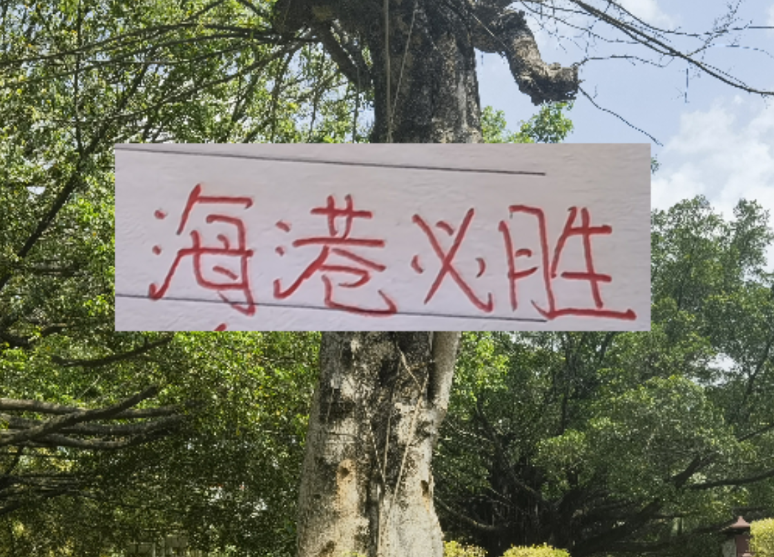 乐鱼app-前有奇塔 现有奥斯卡 海港旧将也喜欢度假途径母队